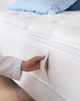 Hauz Rejuvenate Mattress