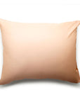 pink hastens satin pillow case