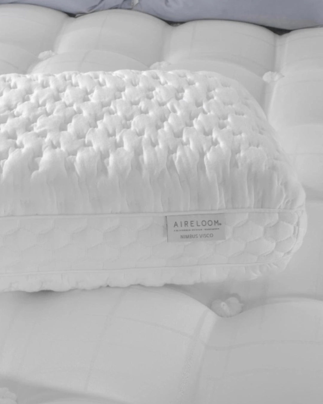 aireloom nimbus pillow detail