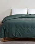 cannon cotton fresh green duvet cover