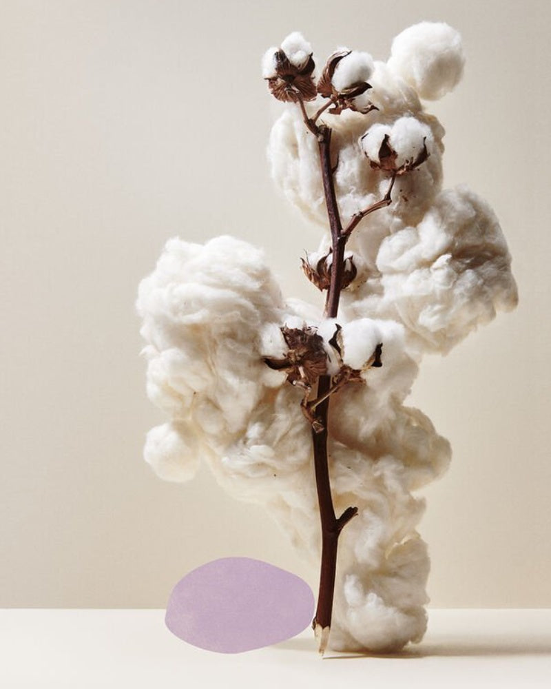 hastens materials cotton