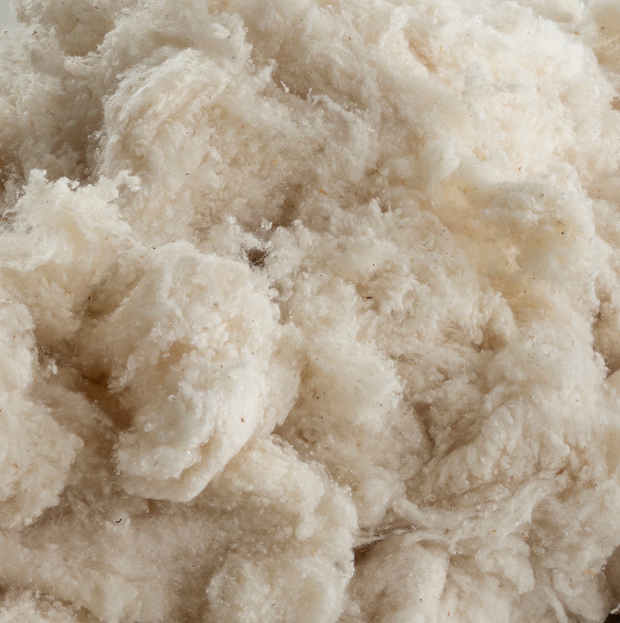 silk raw material