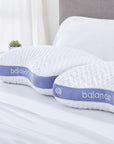 Balance Cuddle Curve Bedgear Performance Pillow